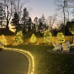 holiday-lights-on-landscape